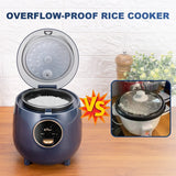 Mini Rice Cooker DFB-B12W1, 1.2L